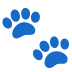 paw_prints