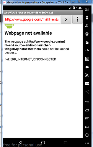 GenyMotion Internet Not Available