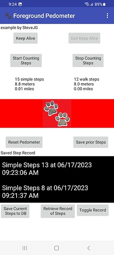 pedometer3