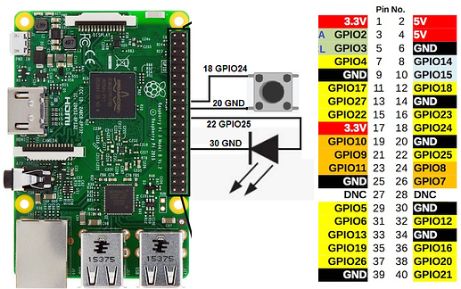 raspberry2