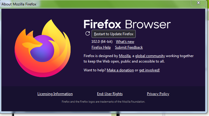 Firefox version